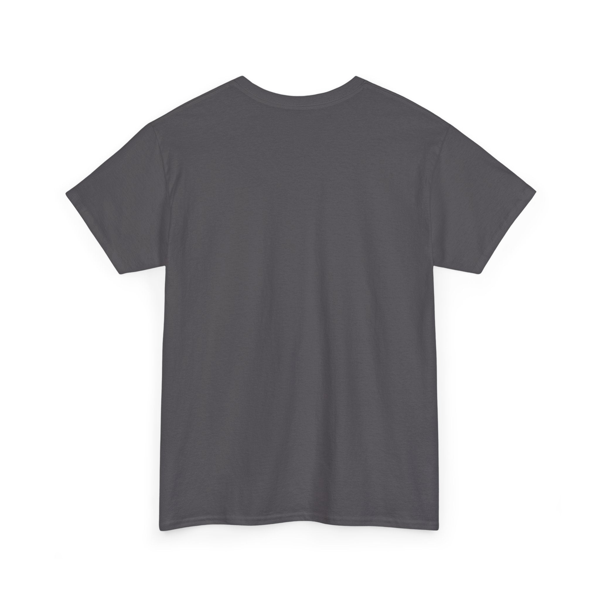 I Can Sashay Ballet Tee — Funny Daddy-Daughter Dance Shirt ("We Are Not The Same")
